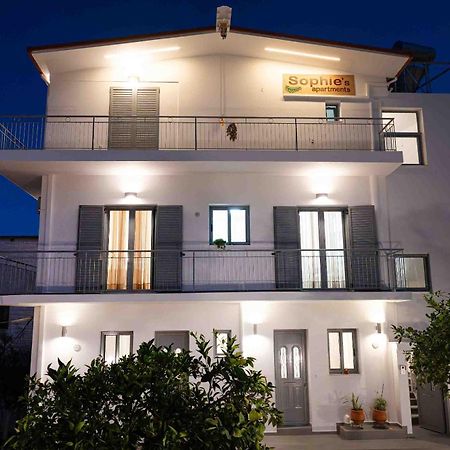 Sophie'S Apartments 3&4 Poros Town Bagian luar foto